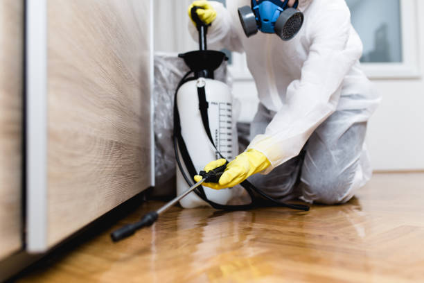 Best Pest Removal Services  in Arabi, LA