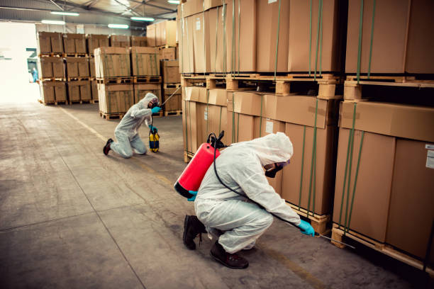 Best Cockroach Control Services  in Arabi, LA