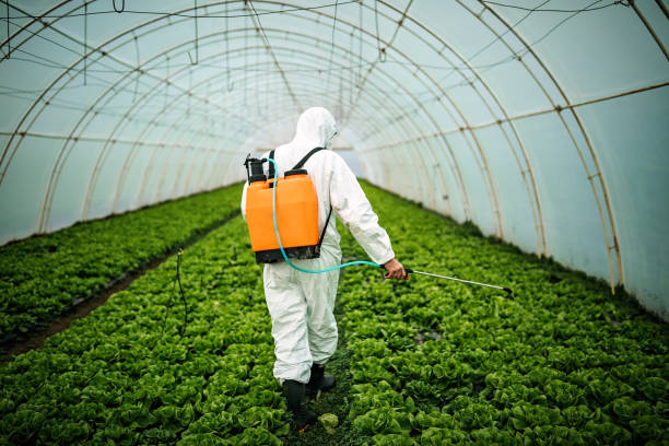 Best Pest Inspection Near Me  in Arabi, LA