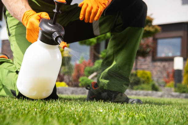 Best Bed Bug Extermination  in Arabi, LA