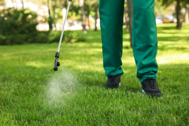 Best Insect Control  in Arabi, LA