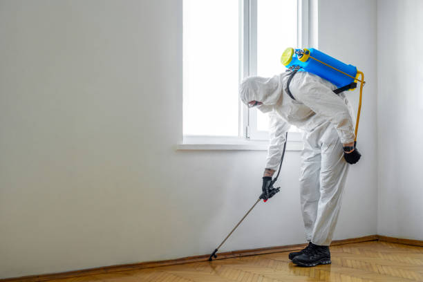 Best Flea Control Services  in Arabi, LA