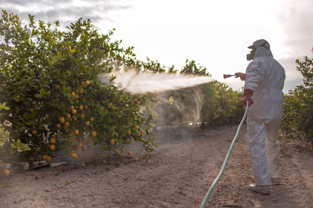 Best Residential Pest Control  in Arabi, LA