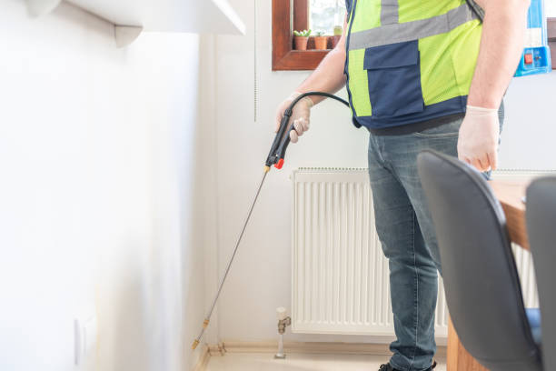 Best Affordable Pest Control Services  in Arabi, LA