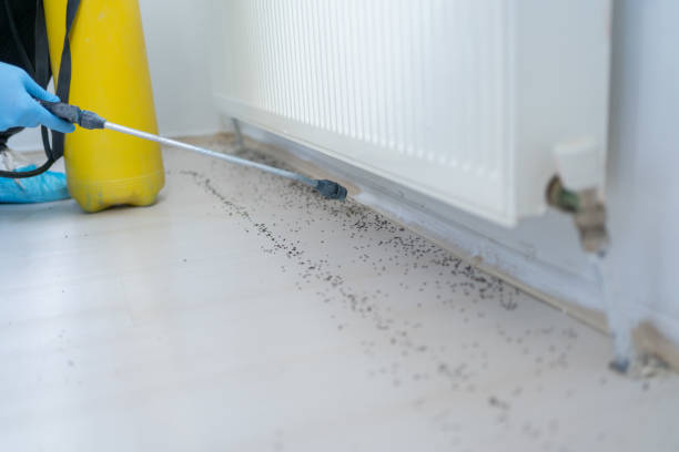 Best Commercial Pest Control Services  in Arabi, LA