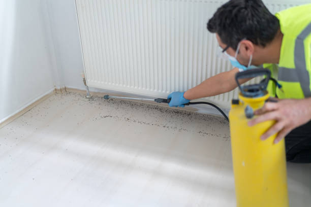 Best Affordable Pest Control Services  in Arabi, LA