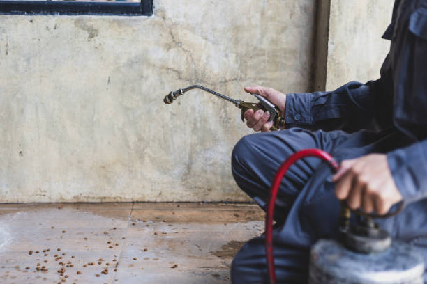 Best Emergency Pest Control  in Arabi, LA